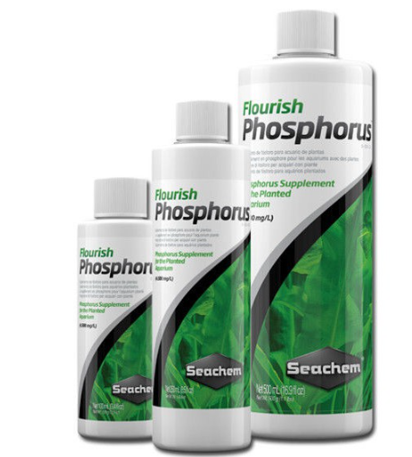 Phân nước Seachem Flourish Phosphorus 100ml, 250ml, 500ml