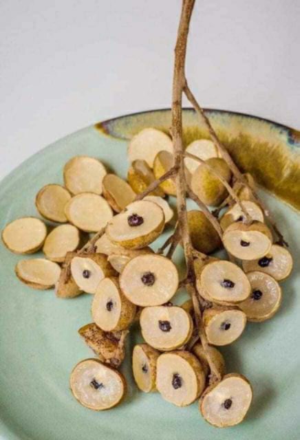 Nhãn thạch kiệt... giống Nhãn hạt lép