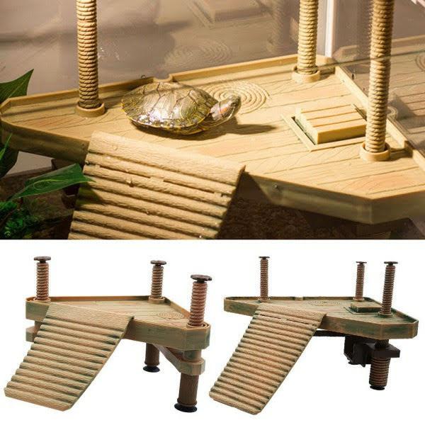 Bệ phơi nắng cho rùa tam giác