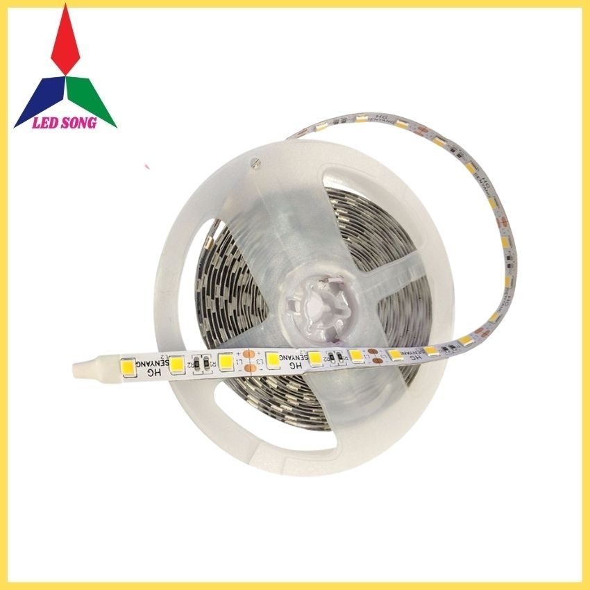 Led Dây Dán 12v 5054 Siêu Sáng Cuộn 5m