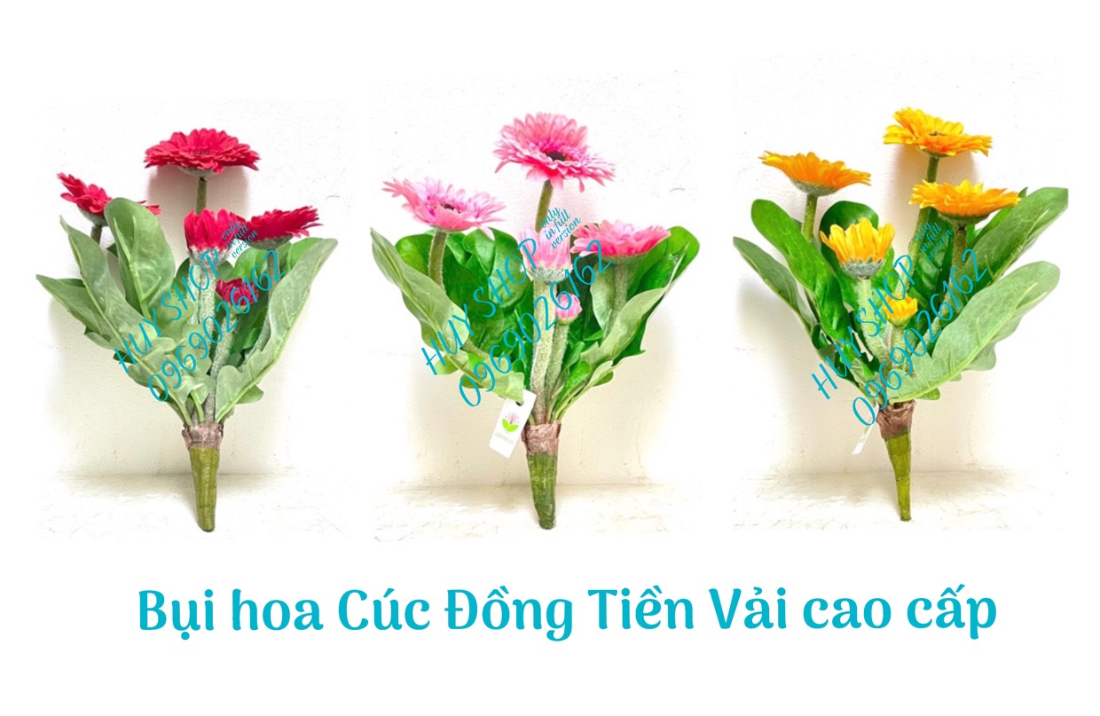 BỤI HOA CÚC ĐỒNG TIỀN VẢI CAO CẤP 25CM