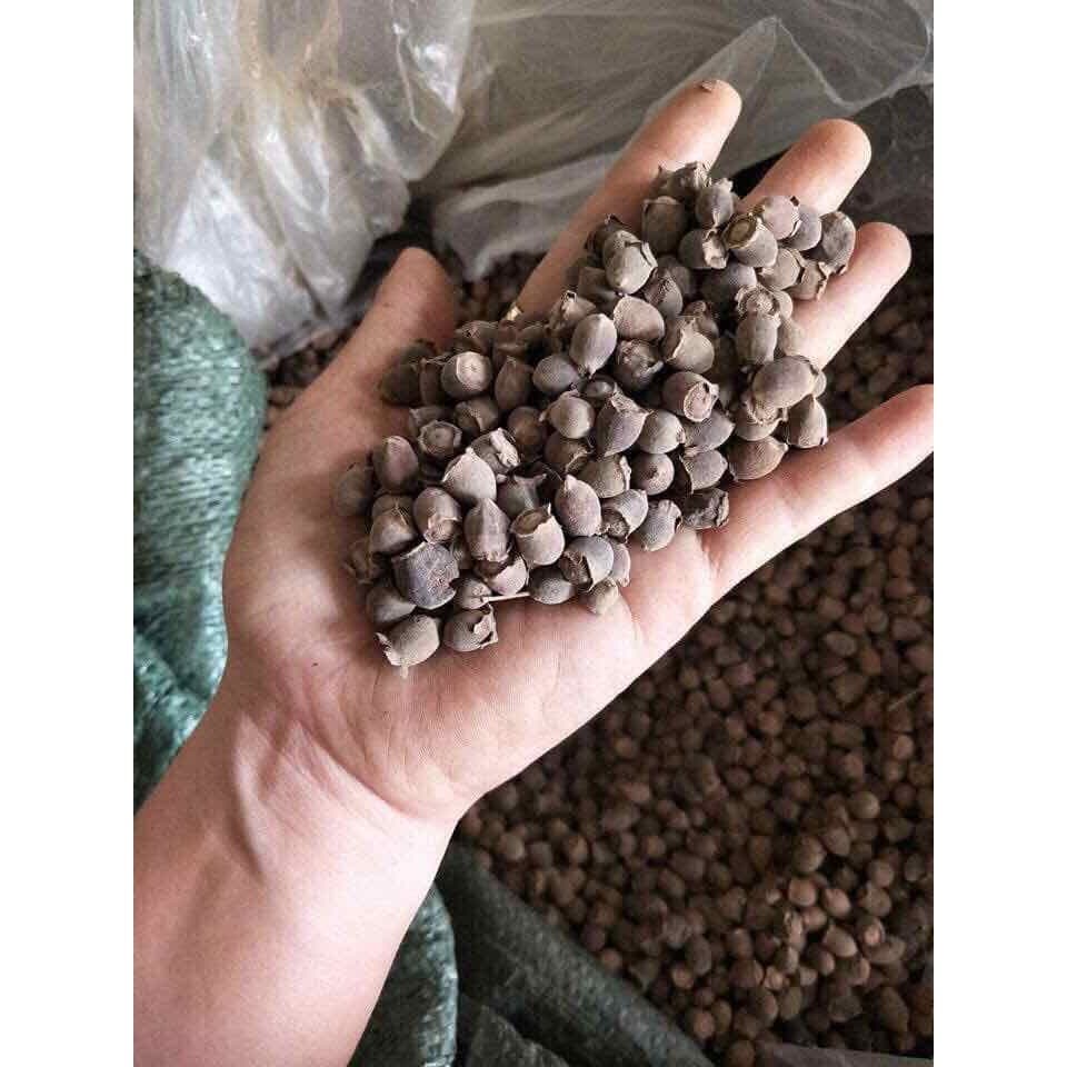 Quả sim rừng Tây bắc ( khô 1kg)