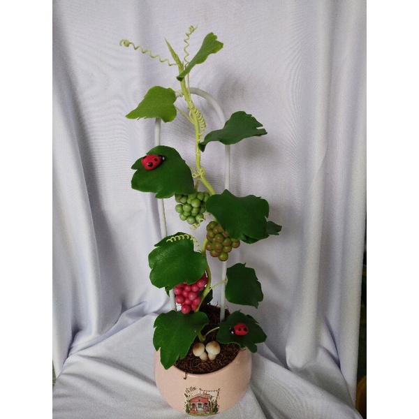 Chậu nho đất sét cao 42cm