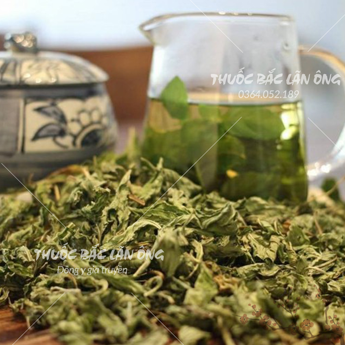 Lá Bạc Hà 100g nguyên chất sấy lạnh