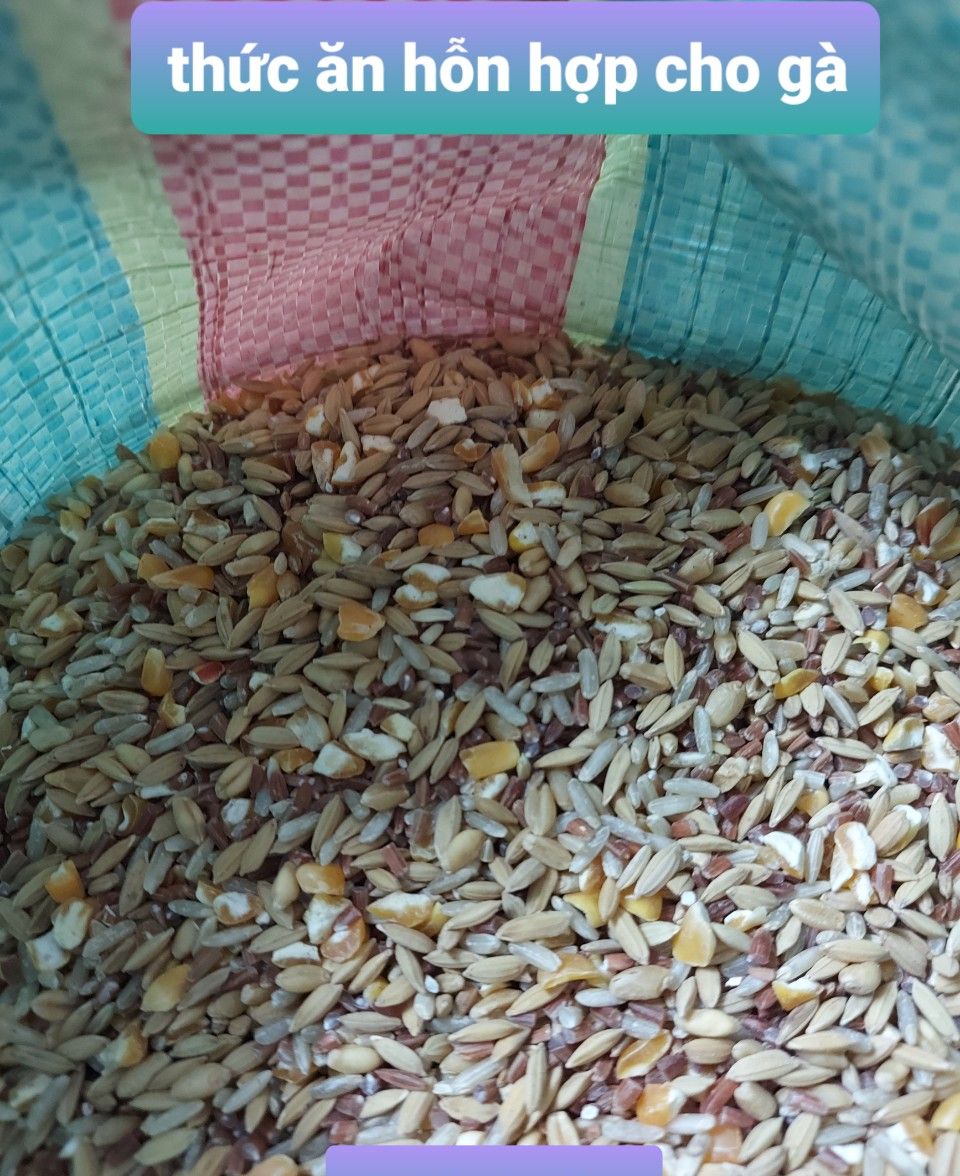 thức ăn hỗn hợp cho gà 3kg