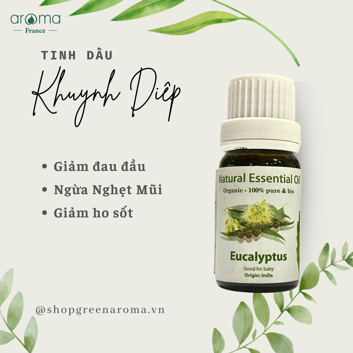 Tinh Dầu Aroma Khuynh Diệp Nguyên Chất  Eucalyptus - 10ml/15ml/30ml/50ml