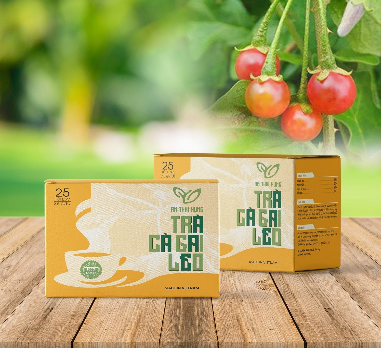 Trà Cà gai leo Thái Hưng (Hộp 25 túi lọc x 2,5g) Mát gan, thải độc gan