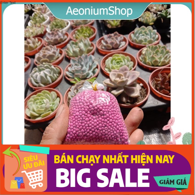 Phân bón tan chậm dành cho sen đá, xương rồng