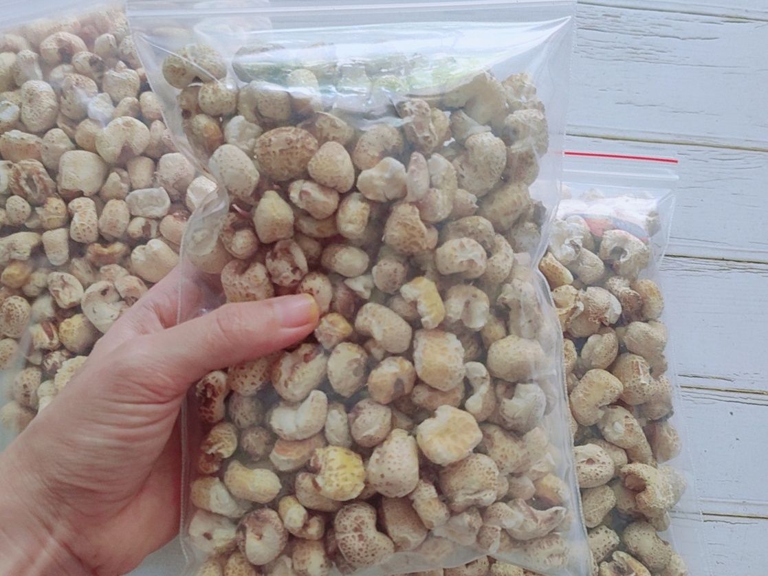 Bắp nổ- thức ăn cho hamster,thú cưng (50gr)