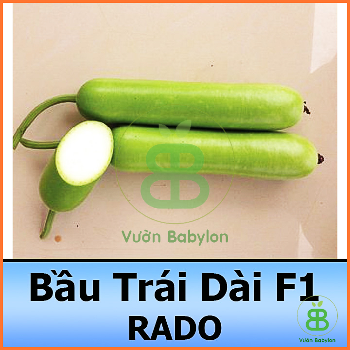 Hạt Giống Bầu Lai 2G Quả Dài, Siêu Trái