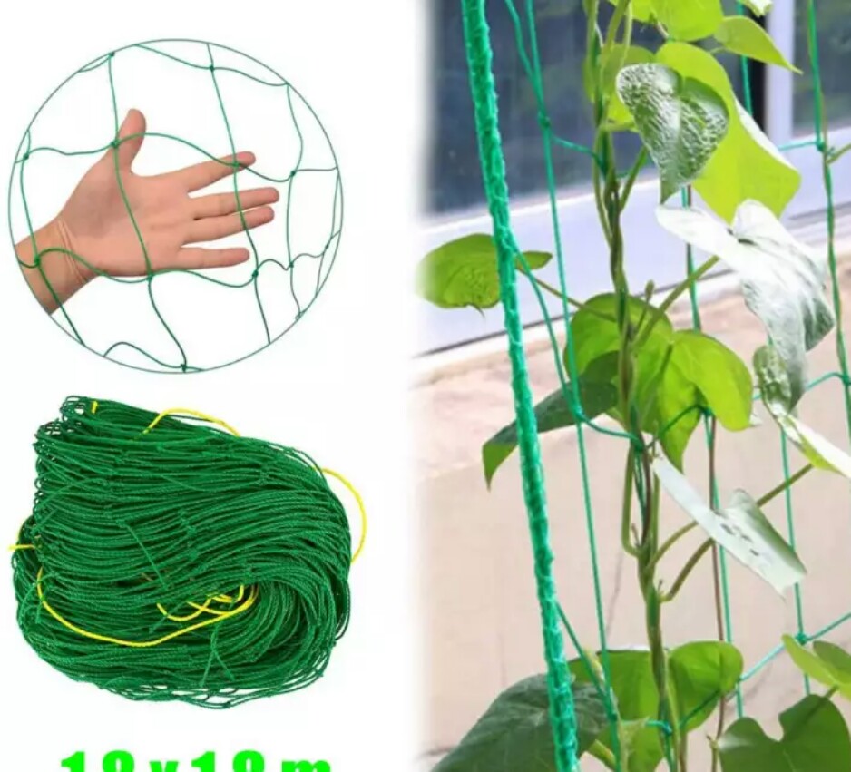 Lưới Thái làm giàn cây leo 1 x 2 mét  dây to