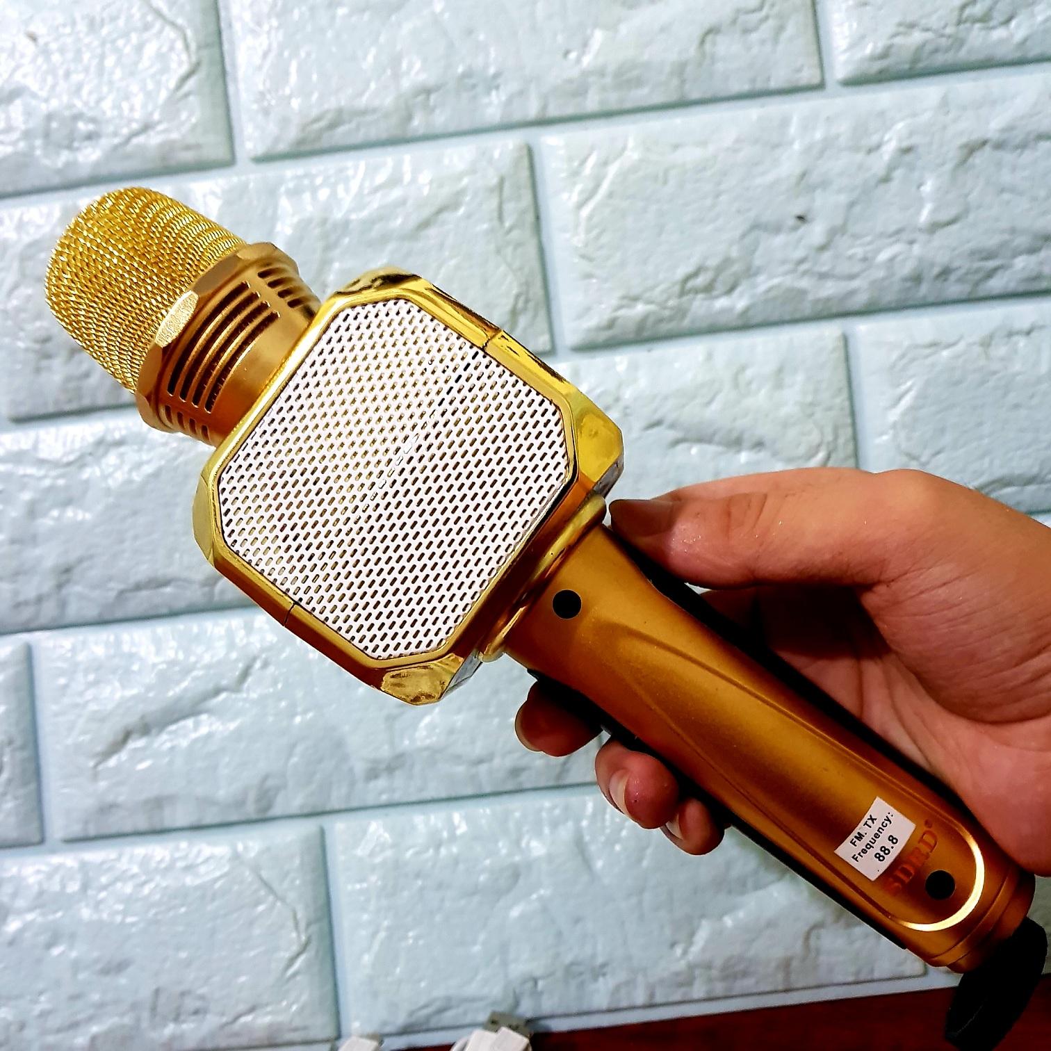 Micro Hát Karaoke Kèm Loa Bluetooth SD-10 Chính Hãng SDRD