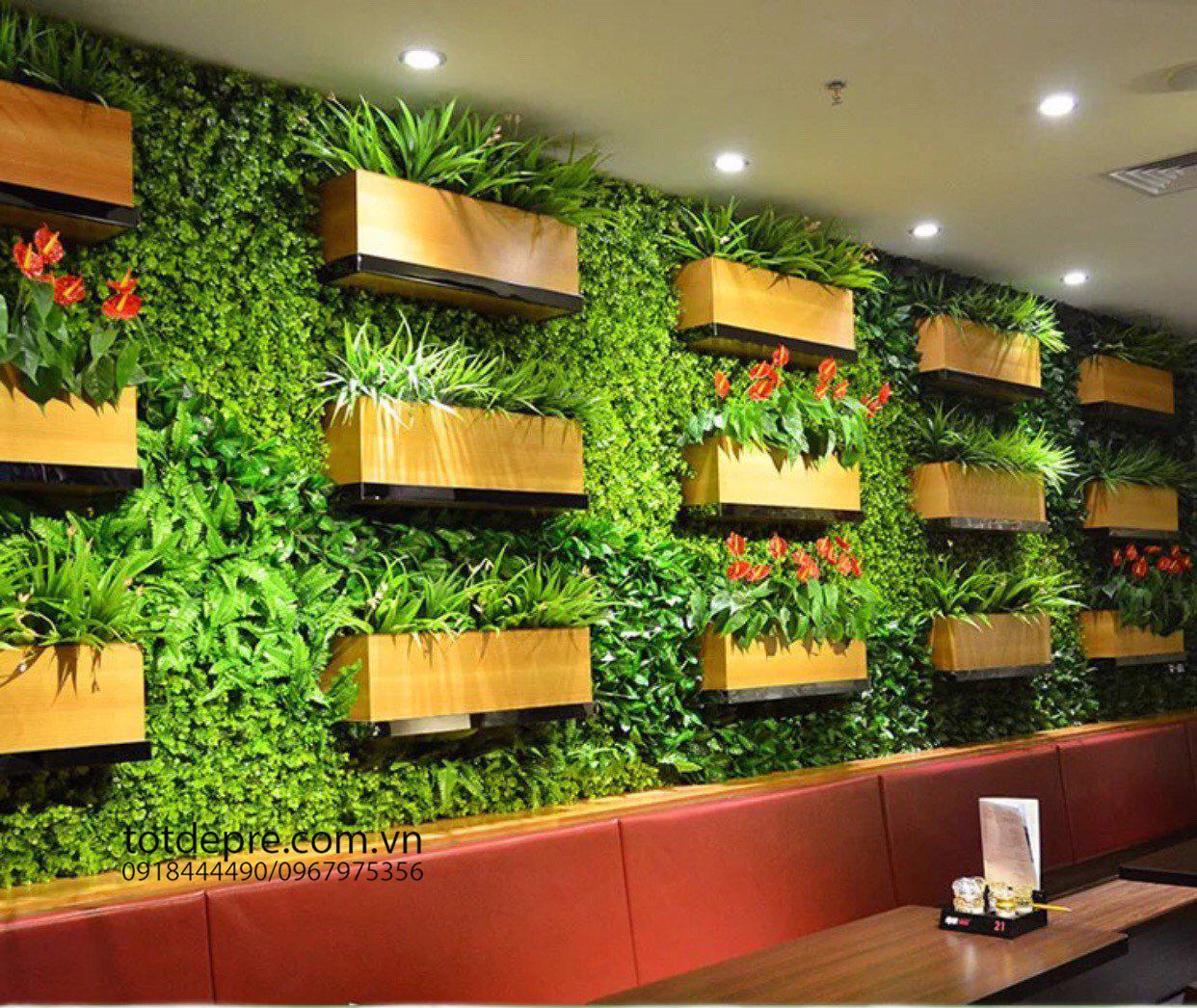 Thảm cỏ tai chuột (60x40)