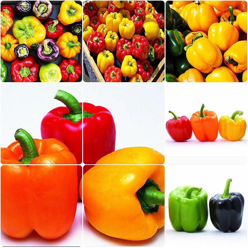 [ sp Mới về] - Hạt giống Ớt chuông mix