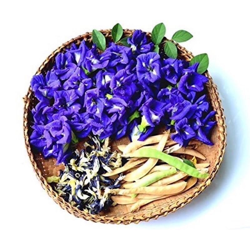 [HCM] TRÀ HOA ĐẬU BIẾC khô - 100gr