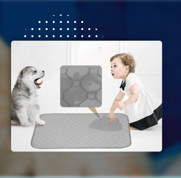 Thảm dạy cún đi vệ sinh DomPad - WorldMart