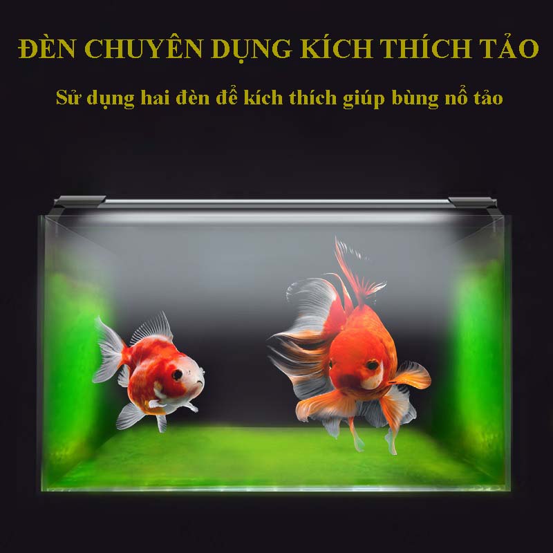 Đèn bể cá vàng JIYIN
