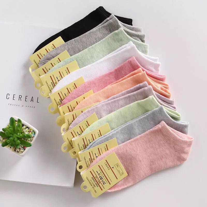 Combo 3 đôi Vớ Cotton nữ ngắn