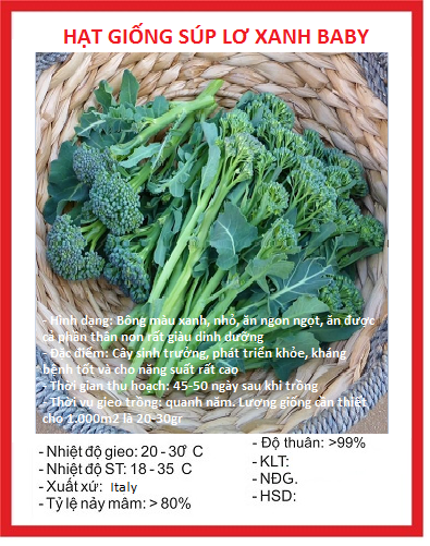 Hạt giống súp lơ xanh BABY  - Gói 20 hạt