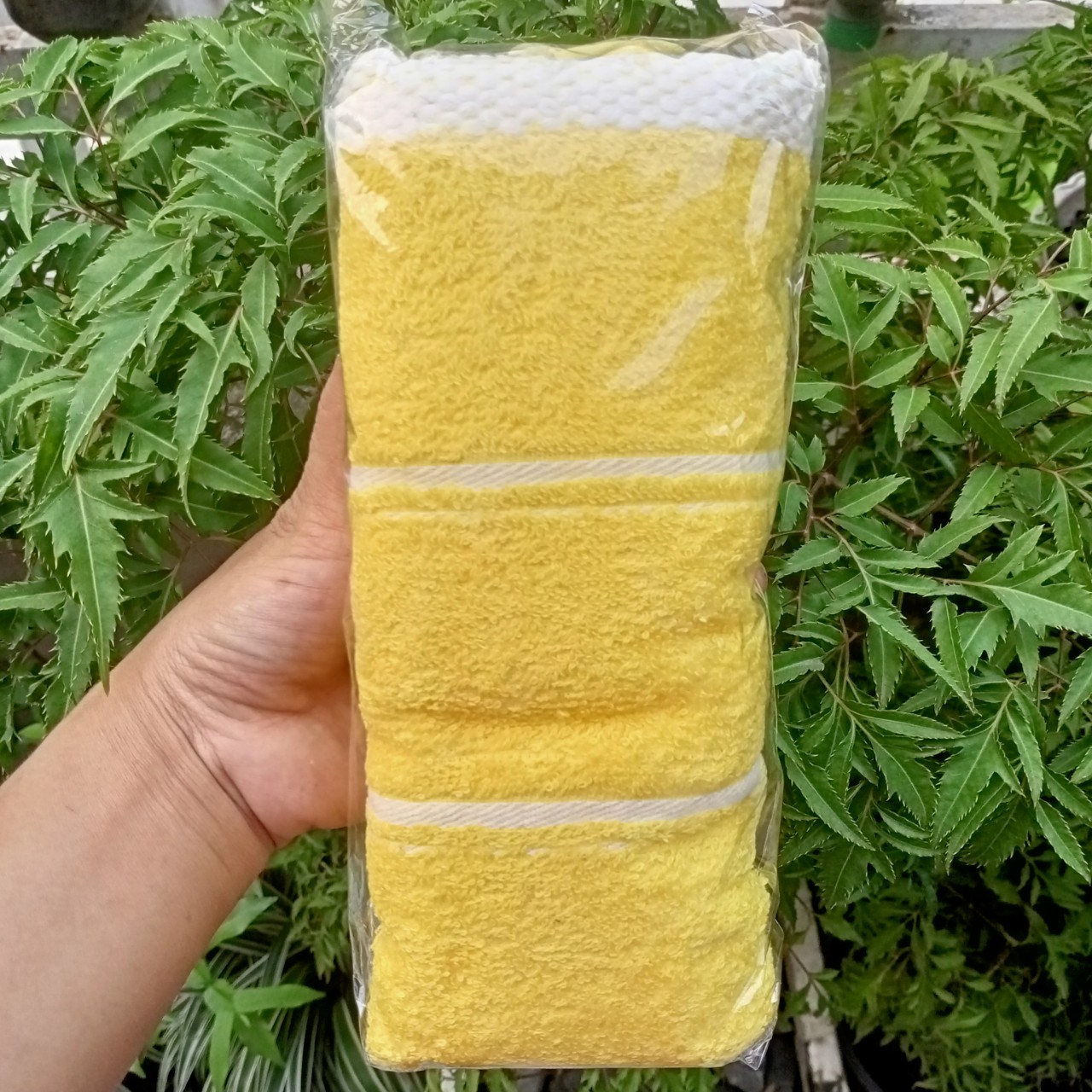 Khăn tắm cao cấp Dove, Clear, Sunsilk.