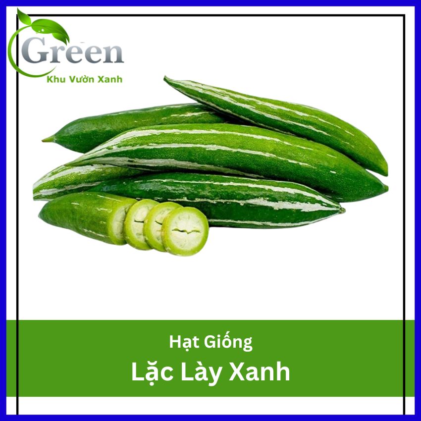 Hạt giống lặc lày lai f1