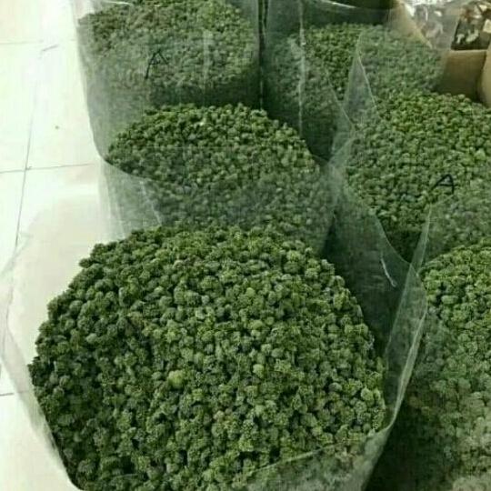 1kg sỉ nụ hoa tam thất bao xanh bao đẹp chất lượng