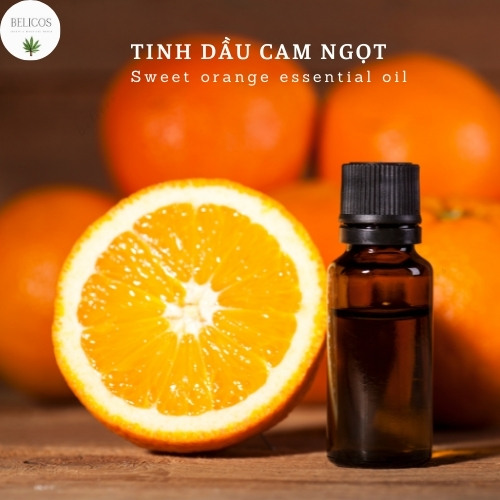 Tinh dầu Cam Ngọt nguyên chất Ấn Độ