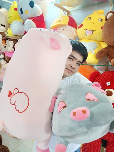 GẤU BÔNG HEO ĐÁNG YÊU