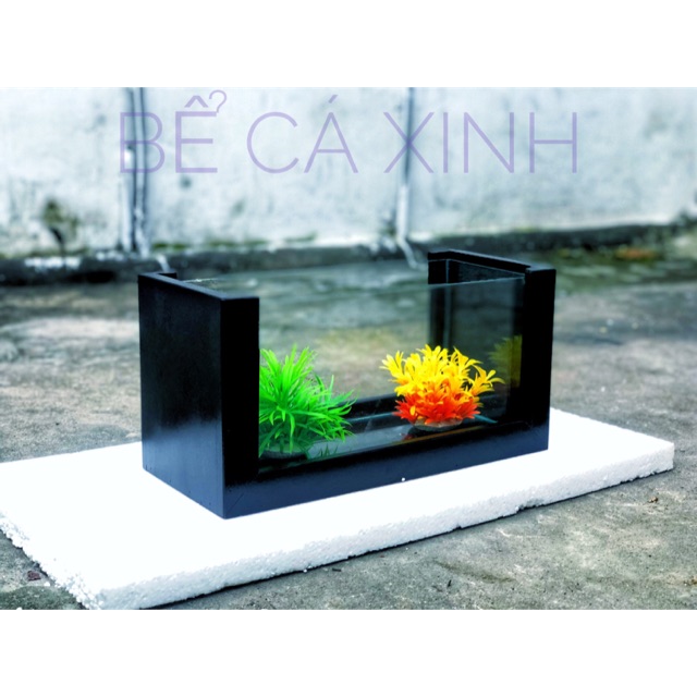 Combo bể cá khung gỗ cỡ lớn (tặng phụ kiện trang trí hồ cá cảnh)
