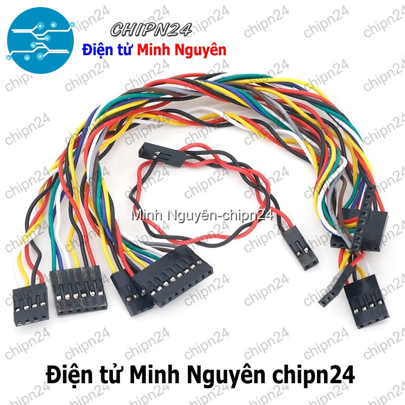 [2 sợi] (P236) Dây Dupoint 4P 20cm Cái Cái 2.54mm - HH005883