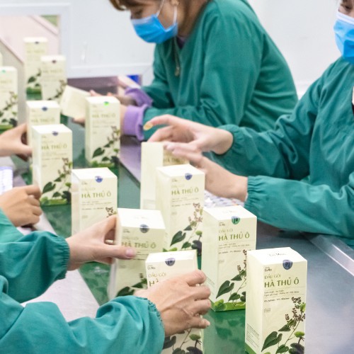 Dầu Gội Hà Thủ Ô Cenota Suôn Mượt, Sạch Gàu, Ngăn Gãy Rụng, Dưỡng Tóc Chắc Khỏe 300ML