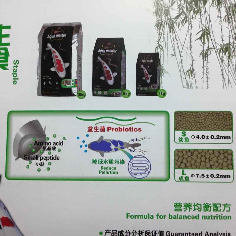 Thức ăn cá Koi Aquamaster Staple cân bằng đạm