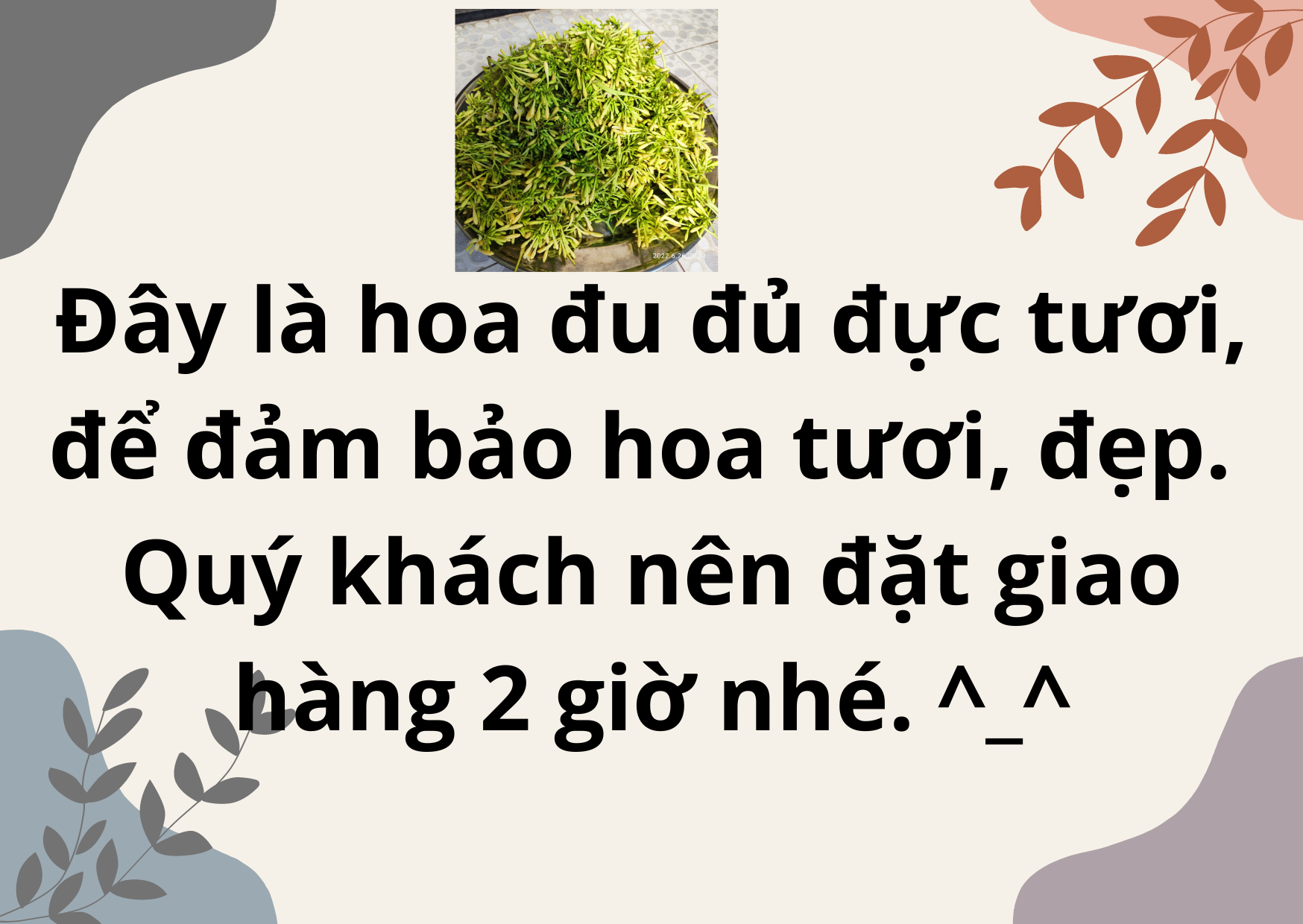 Hoa Đu Đủ Đực Tươi ( Hoa Thu Đủ Đực Tươi) - RẤT TỐT CHO SỨC KHỎE