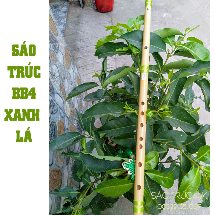 [HCM]SÁO TRÚC BB4 XANH LÁ HL59