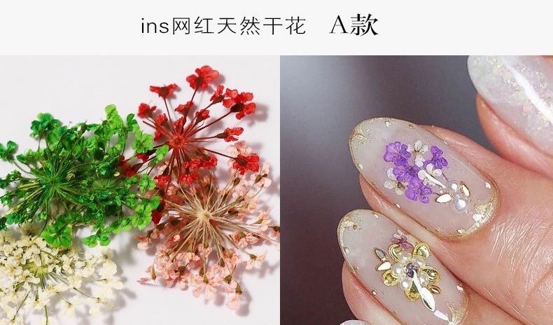 phụ kiện trang trí hoa khô cánh nhỏ dán móng