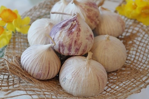 1 ký tỏi cô đơn củ to, tròn, đều giá 95.000 vnd, cam kết giao hàng chất lượng