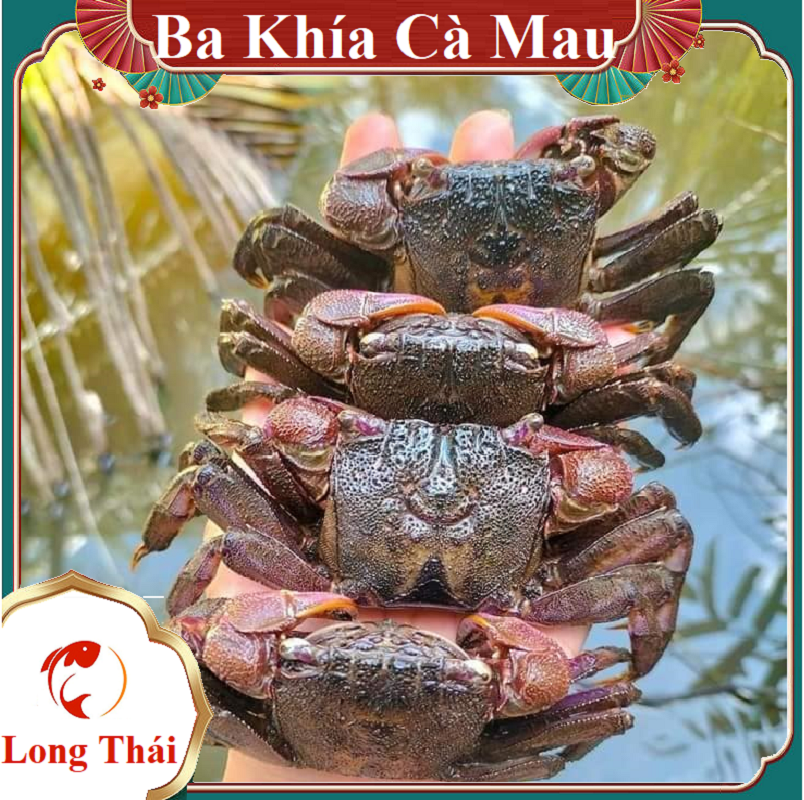 MẮM BA KHÍA NGUYÊN CON 500GR - Long Thái
