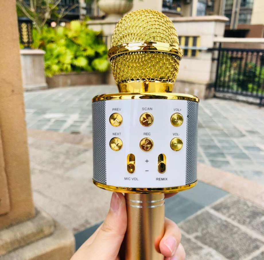 Micro Hát Karaoke Bluetooth Kèm Loa 858