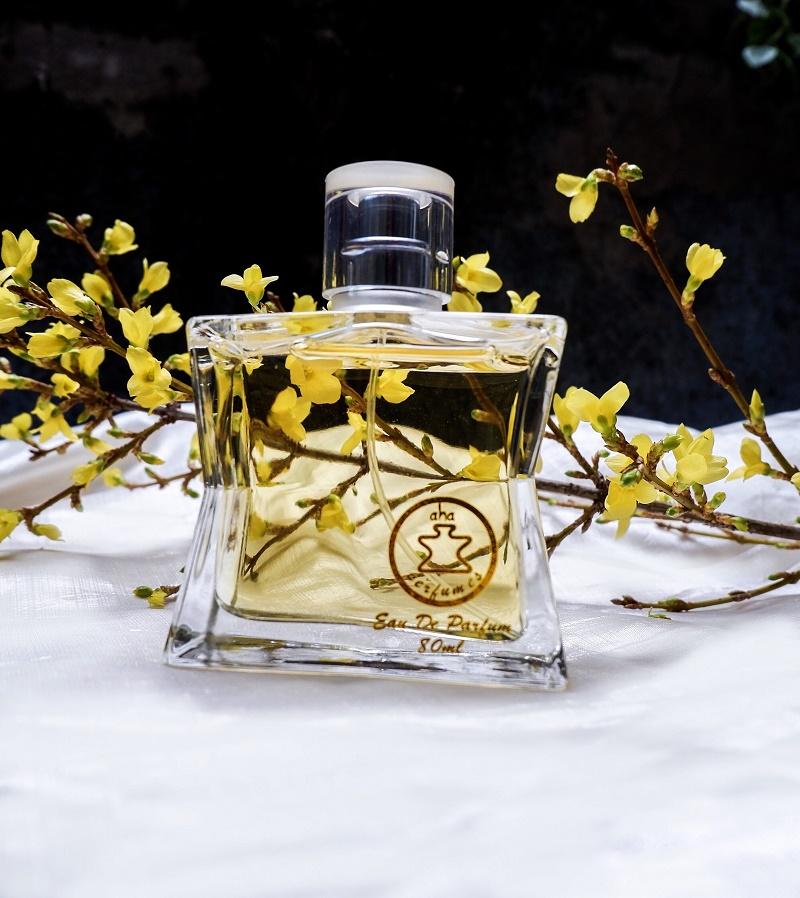 [HCM]Nước hoa nam AHAPERFUMES AHA879 Boss 80ml