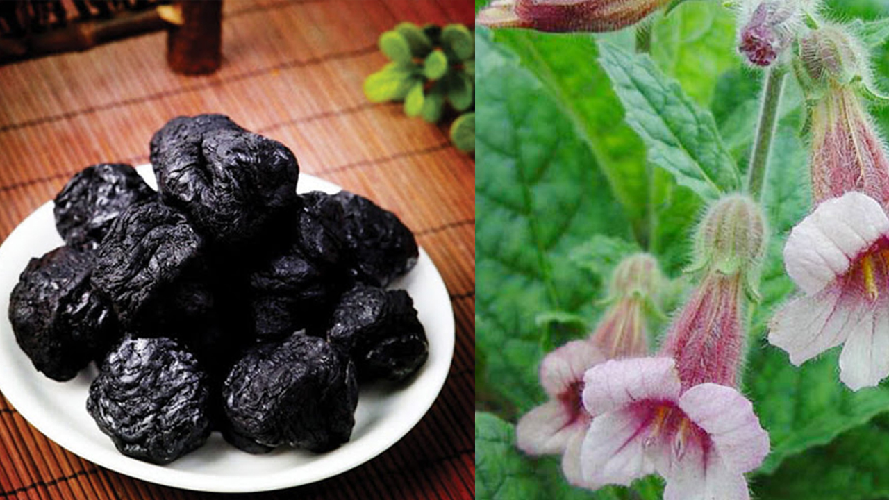 Thục địa khô thượng hạng JINDO 1kg