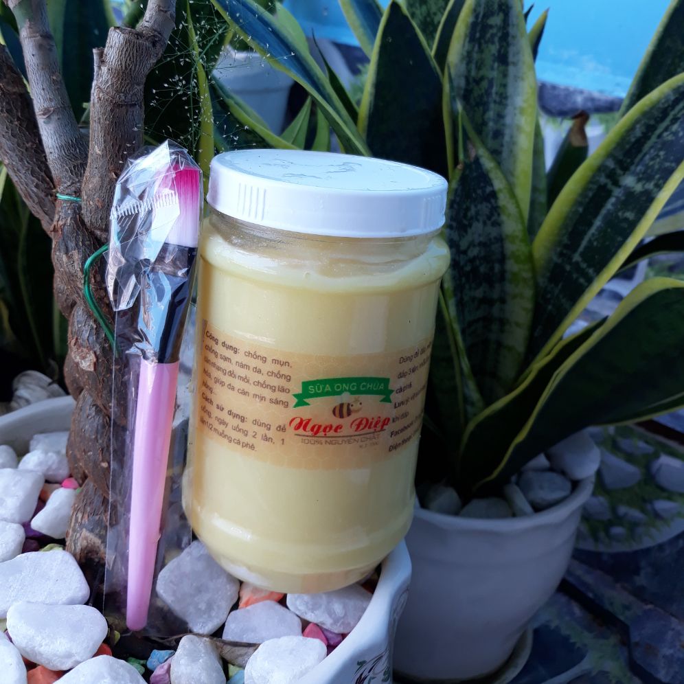 Sữa ong chúa 500gr