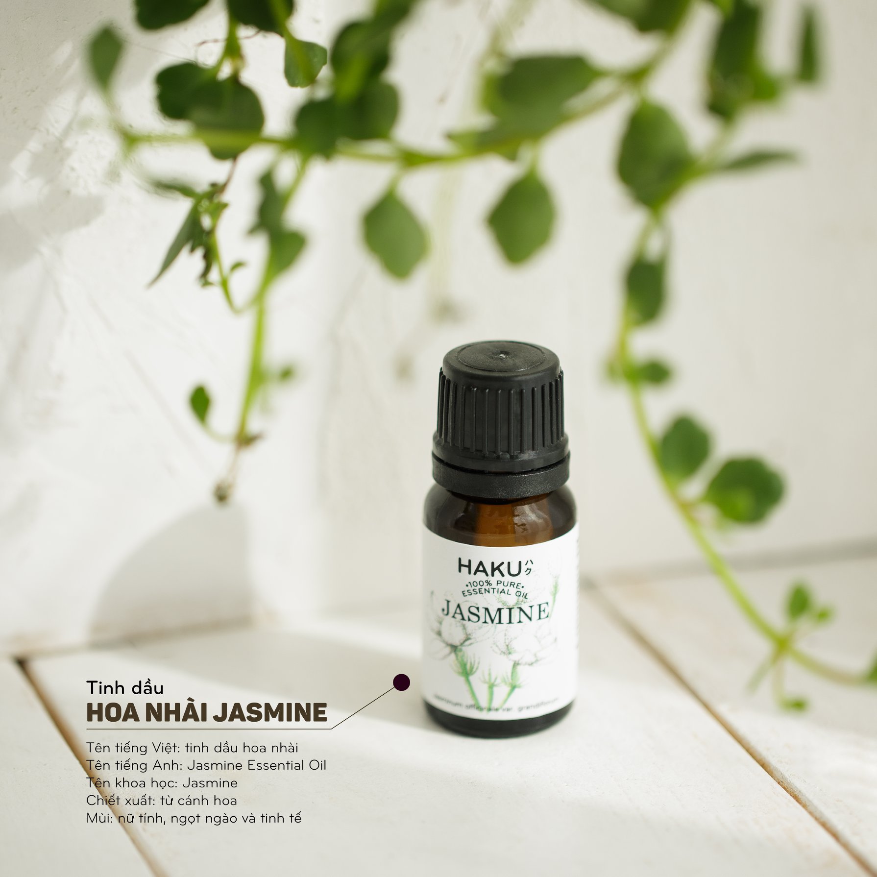 Jasmine Essential Oil