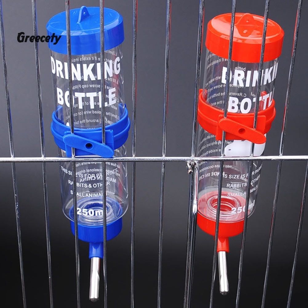 Bình nước bi 250ml cho Hamster, Vẹt, Sóc...