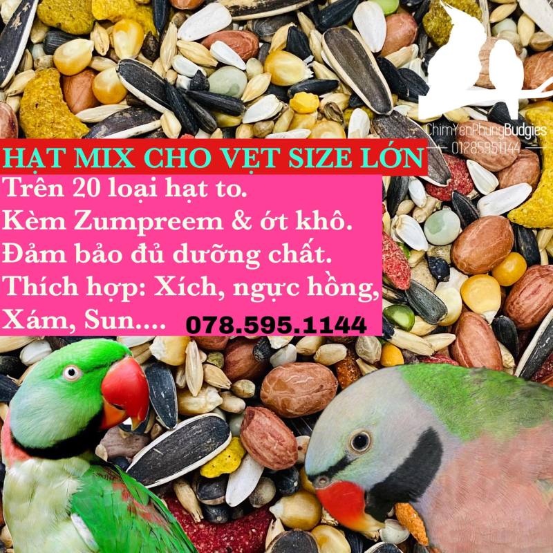 HẠT HỖN HỢP HOÀN CHỈNH CHO VẸT SIZE LỚN + ZUMPREEM