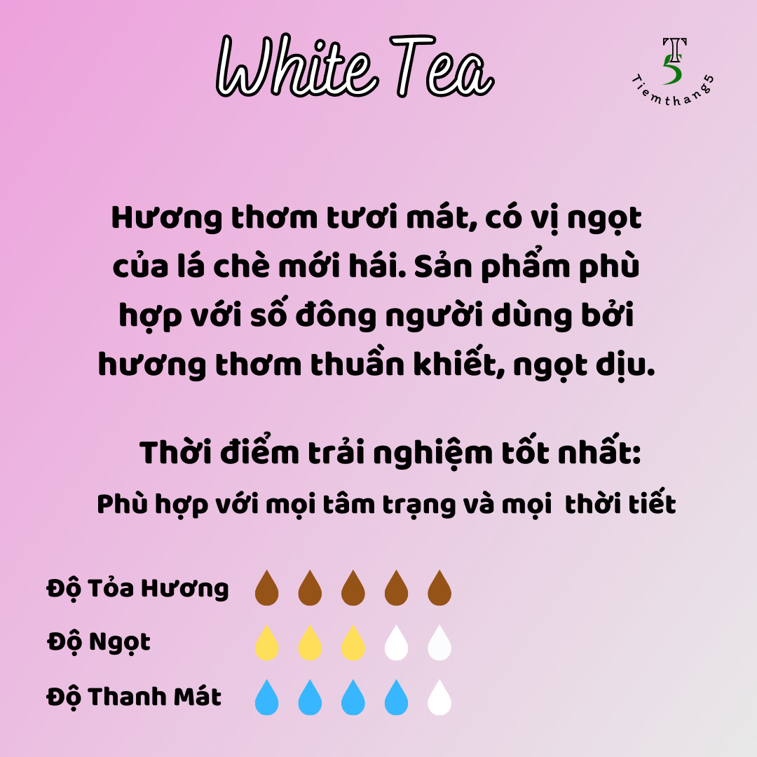 Nến Thơm Ly  Quà Tặng Sinh  Nhật Dịp Lễ Kèm Quà [ Phối Hương Độc Quyền Tiệm Tháng 5 ]