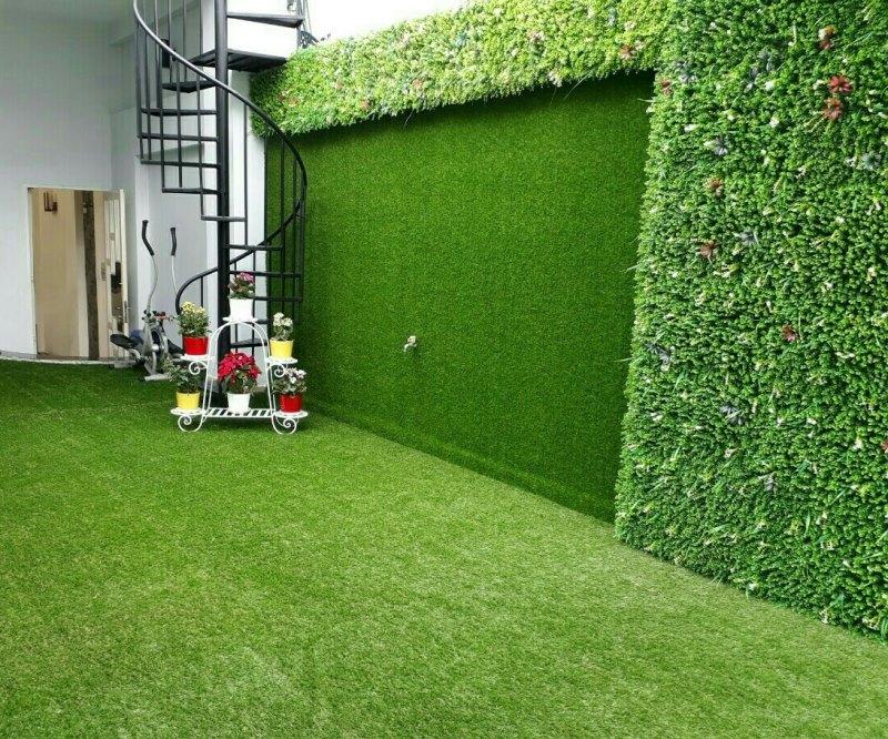 50 mét vuông thảm cỏ nhân tạo độ cao 1,5 cm(KT 2mx25m)