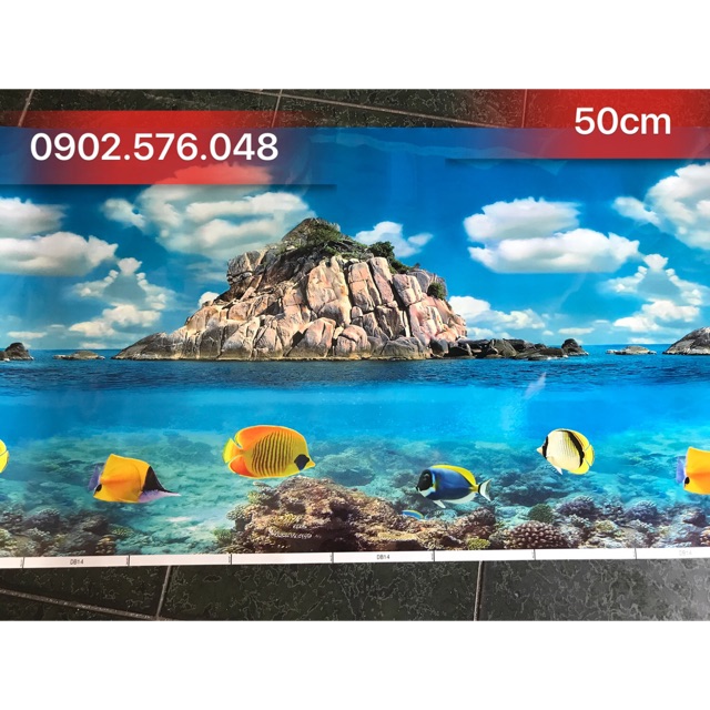 [HCM]Tranh hồ cá cao 50cm 1m