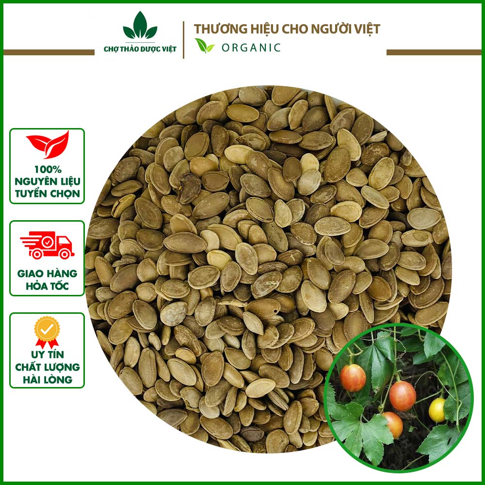 Qua lâu nhân 500g, hàng loại 1, khô, sạch - chợ thảo dược việt