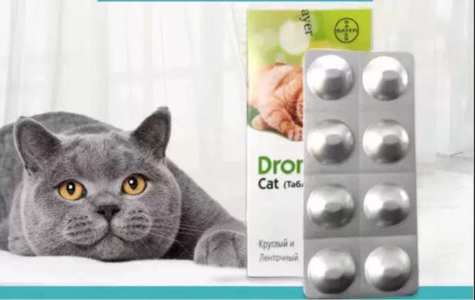 Viên Tẩy Giun Sán Cho Mèo Drontal Cat Bayer
