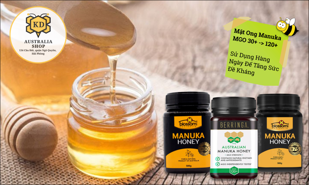 MẬT ONG MANUKA ÚC MGO 120+ BERRINGA 250G